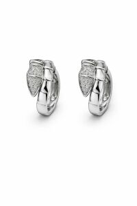 Imagem de Brinco Serpente Prateado